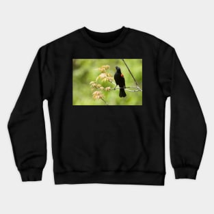 Blackie Crewneck Sweatshirt